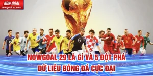 Nowgoal 29 là gì